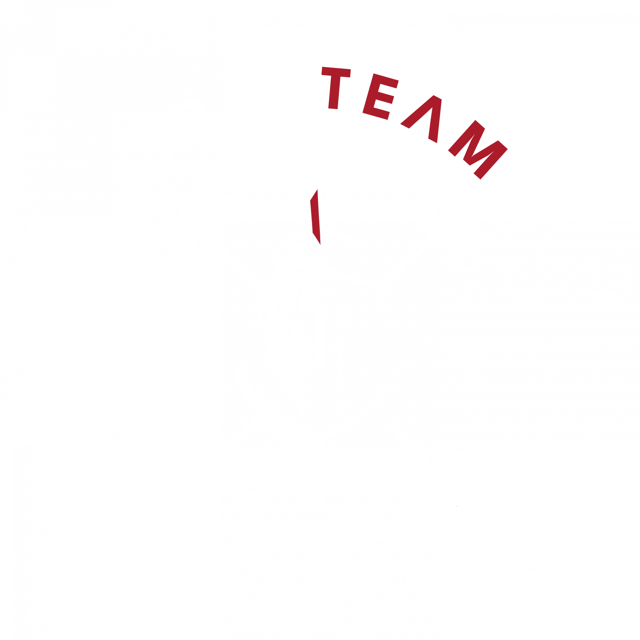 LOGO sparteam 2024 RVB Logo Sparteam